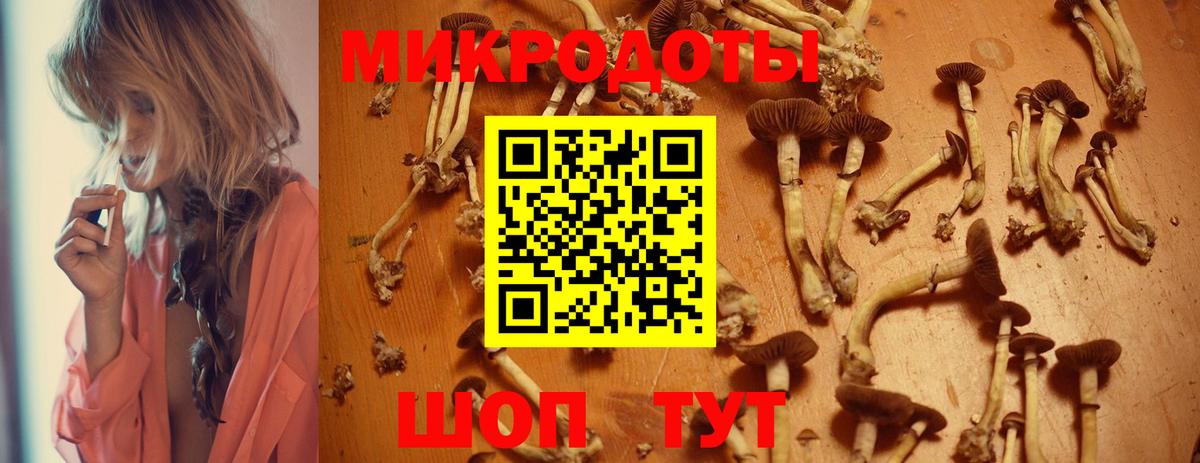 Галлюциногенные грибы прущие грибы Егорьевск