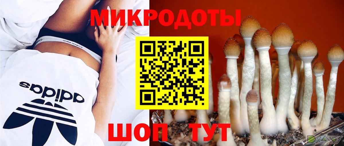 Галлюциногенные грибы Magic Shrooms  Вход с VPN  Егорьевск 